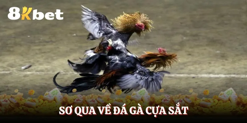 so-qua-ve-da-ga-cua-sat