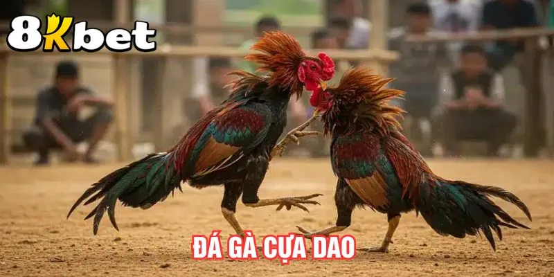 da-ga-cua-dao