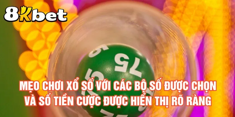 meo-choi-xo-so-voi-cac-bo-so-duoc-chon-va-so-tien-cuoc-duoc-hien-thi-ro-rang